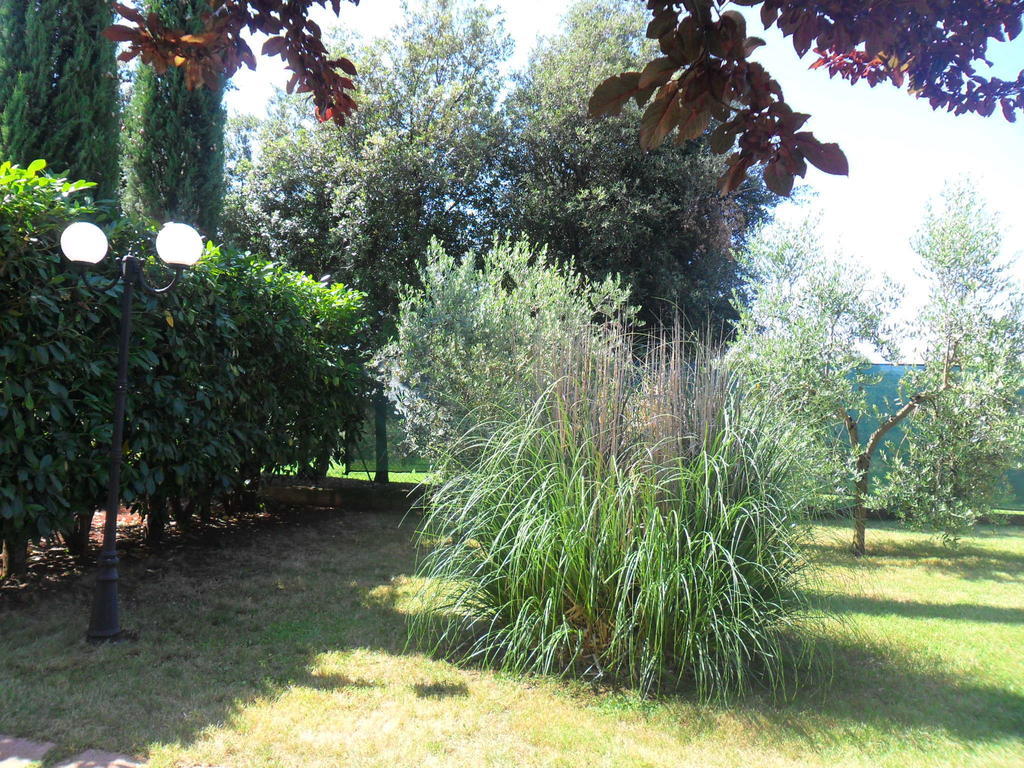 Casale Santa Caterina Amelia Exterior foto