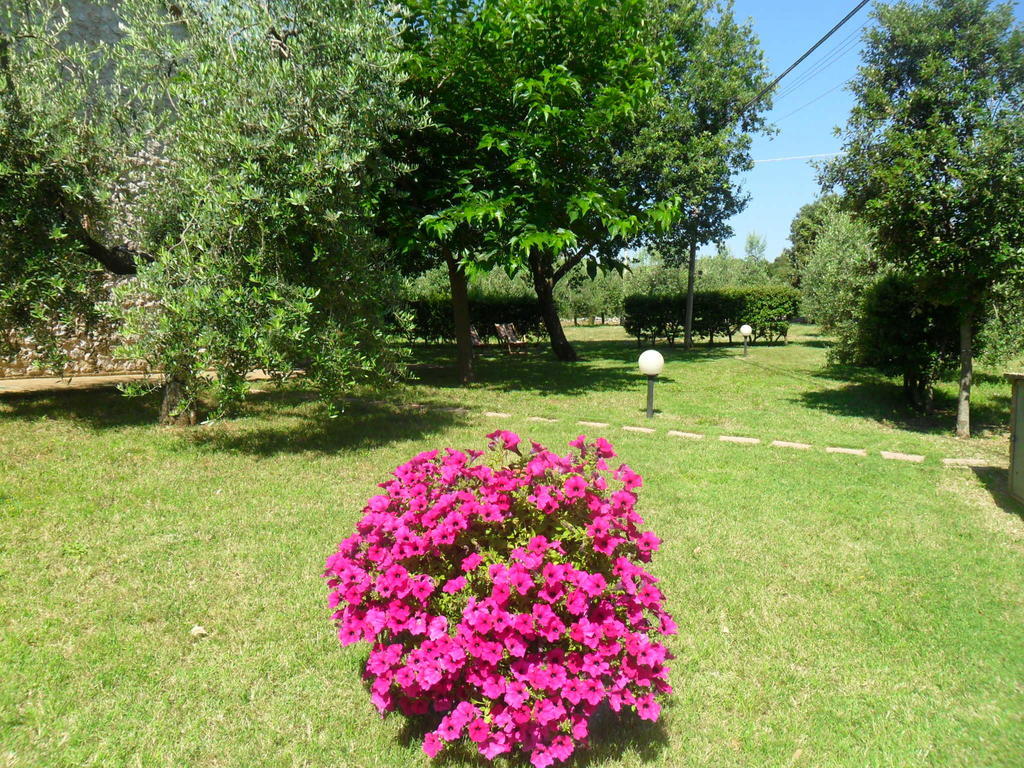 Casale Santa Caterina Amelia Exterior foto