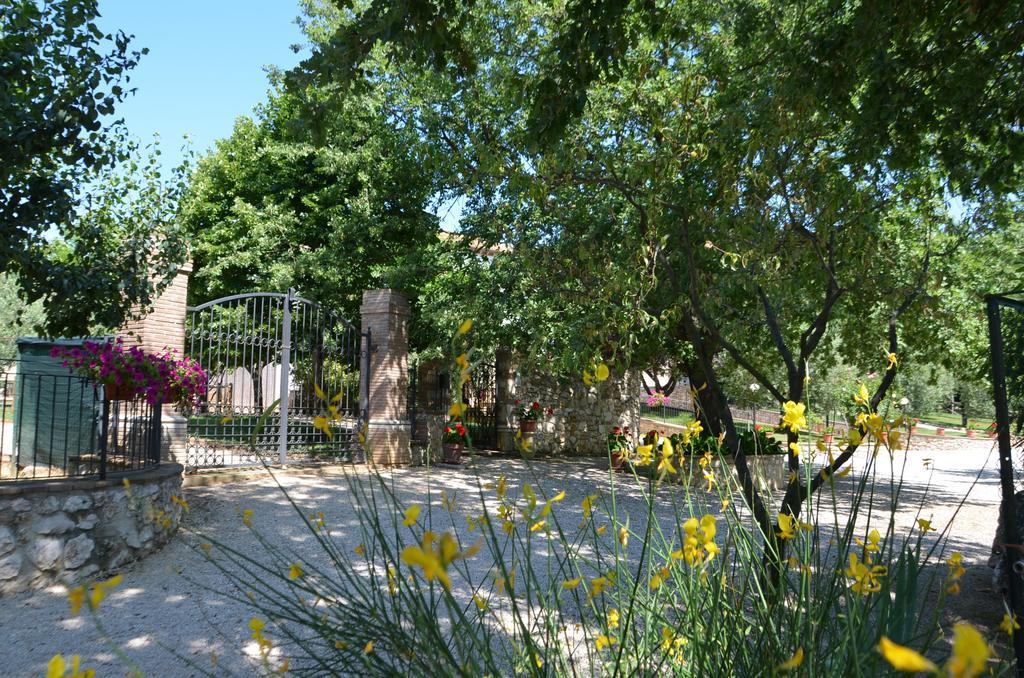 Casale Santa Caterina Amelia Exterior foto