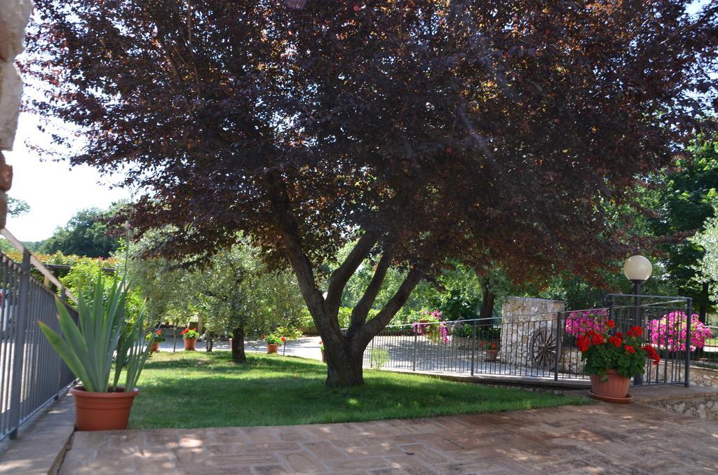 Casale Santa Caterina Amelia Exterior foto